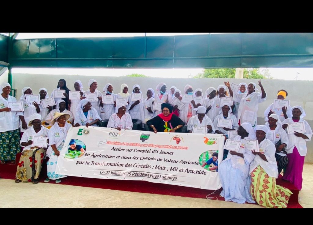 5 jours pour transformer l’avenir des jeunes femmes dans l’agriculture ! Du 17 au 21 juillet, le Centre AFAO de Gorom, en partenariat avec la CEDEAO, l’EOA et NOAN, a accueilli un atelier unique à Lambaye (Diourbel) sur : 👉 L’emploi des jeunes femmes dans l’agriculture la transformation et la valorisation des céréales locales (maïs, mil, arachide). 🎯 Objectif : Former et outiller ces jeunes femmes pour qu’elles deviennent des actrices clés des chaînes de valeur agricoles, en développant des modèles économiques inclusifs et innovants. 💡 Pourquoi c’est essentiel ? ✔ Réduire le chômage des jeunes ✔ Renforcer la souveraineté alimentaire ✔ Créer des emplois durables en milieu rural ✔ Accroître l’autonomie économique des femmes 👏 Bravo à toutes les participantes et à nos partenaires pour leur engagement en faveur d’un avenir agricole plus durable et inclusif !